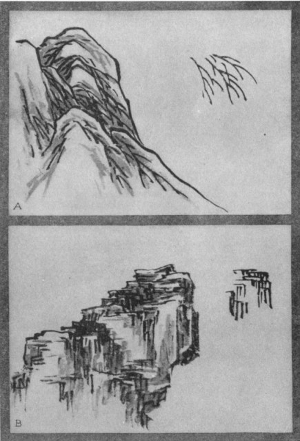 Lines or Veins of Lotus Leaf (a). Alum Crystals (b). Plate XXIV.