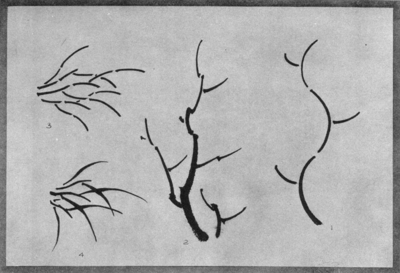 Theory of Tree Growth (1). Practical Application (2). Grass Growth in Theory (3). In Practice (4). Plate XXVIII.