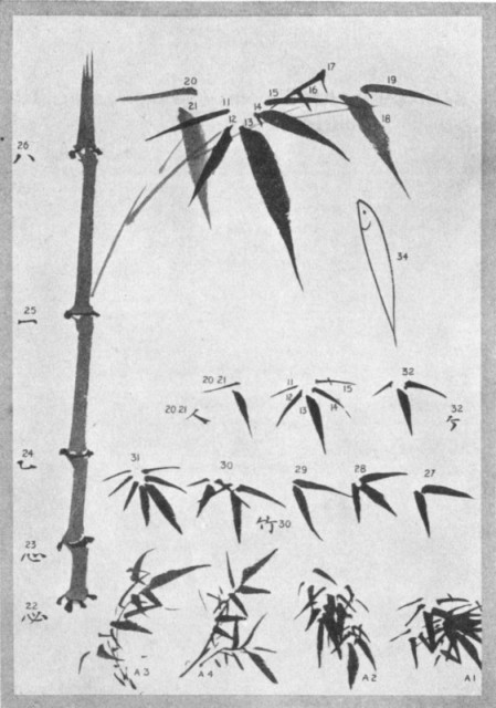 The Bamboo Plant and Leaves. Plate LIII.