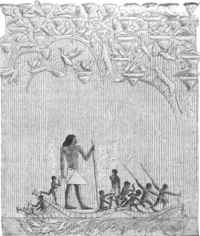 FIG. 1.—HUNTING IN THE MARSHES. TOMB OF TI, SACCARAH. (FROM PERROT AND CHIPIEZ.)
