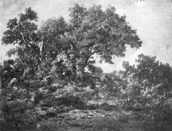 FIG. 65.—ROUSSEAU, CHARCOAL BURNERS' HUT. FULLER COLLECTION.