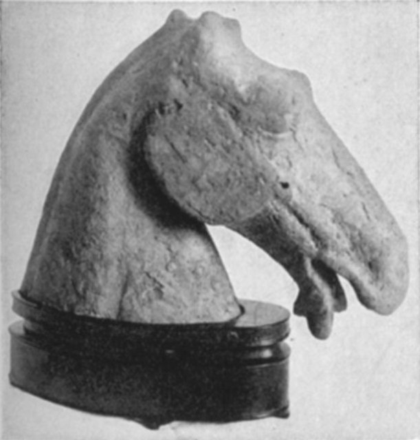 Horse's Head. Han Period