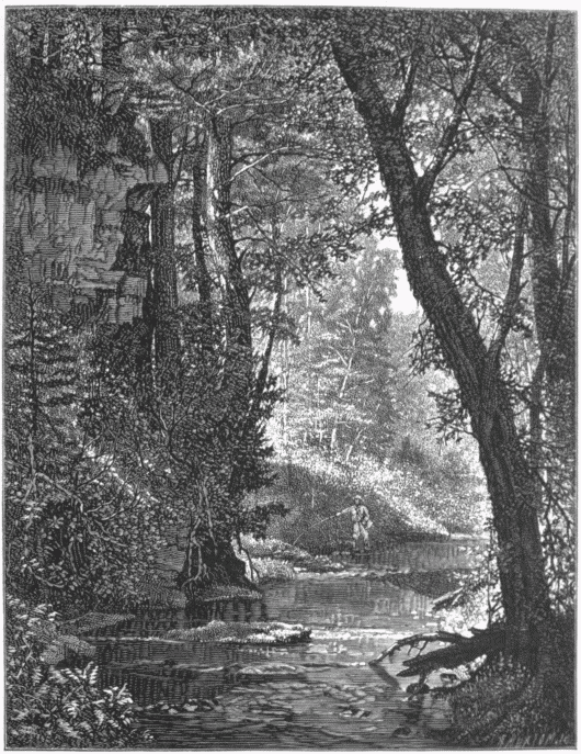 "BROOK IN THE WOODS."—[WORTHINGTON WHITTREDGE.]