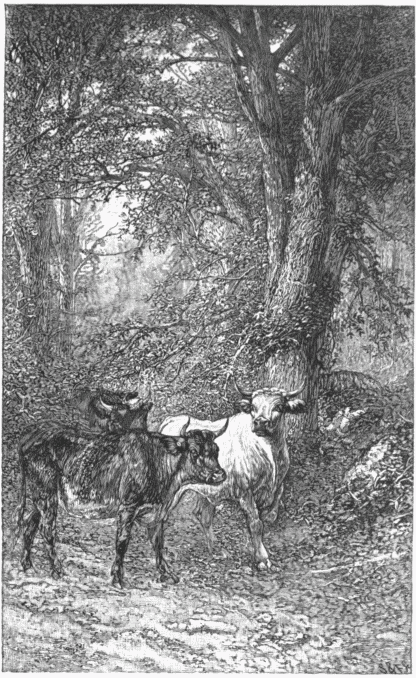 LANDSCAPE WITH CATTLE.—[JAMES HART.]