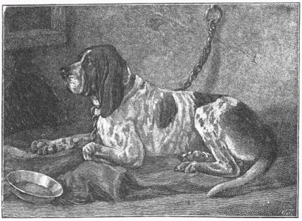 STUDY OF A DOG.—[FRANK ROGERS.]
