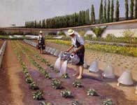 Gustave Caillebotte