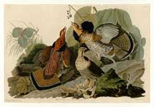 John James Audubon