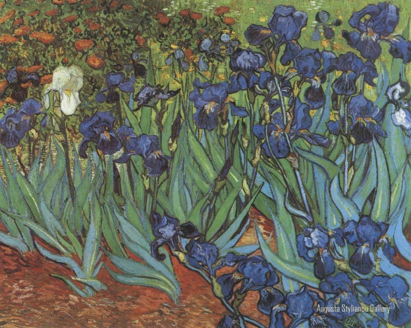 vangogh575.jpg
