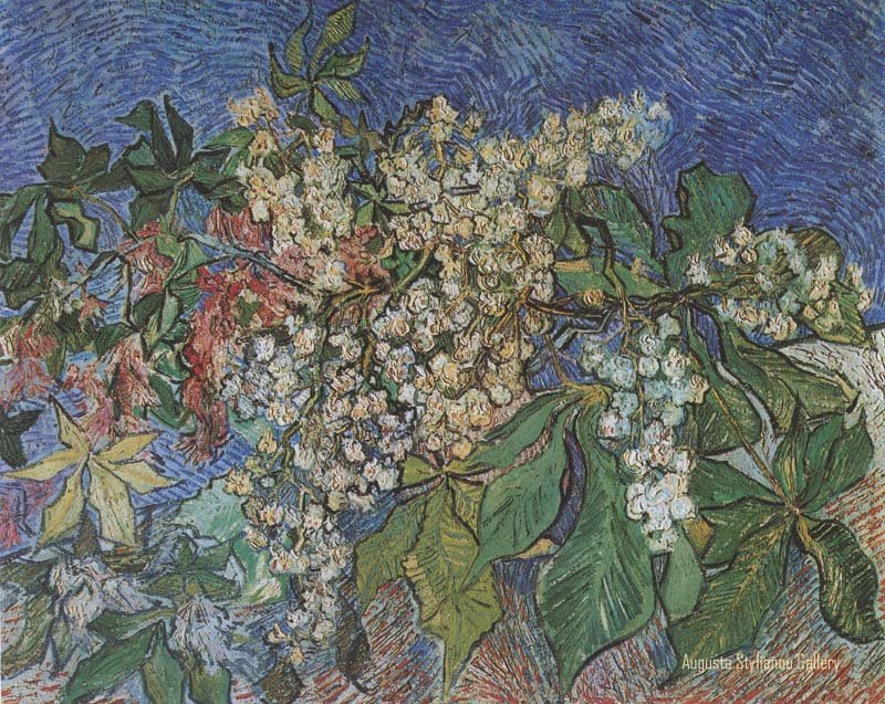 vangogh716.jpg